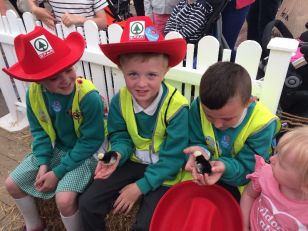 Primary 4 had lots of fun at the Balmoral Show!